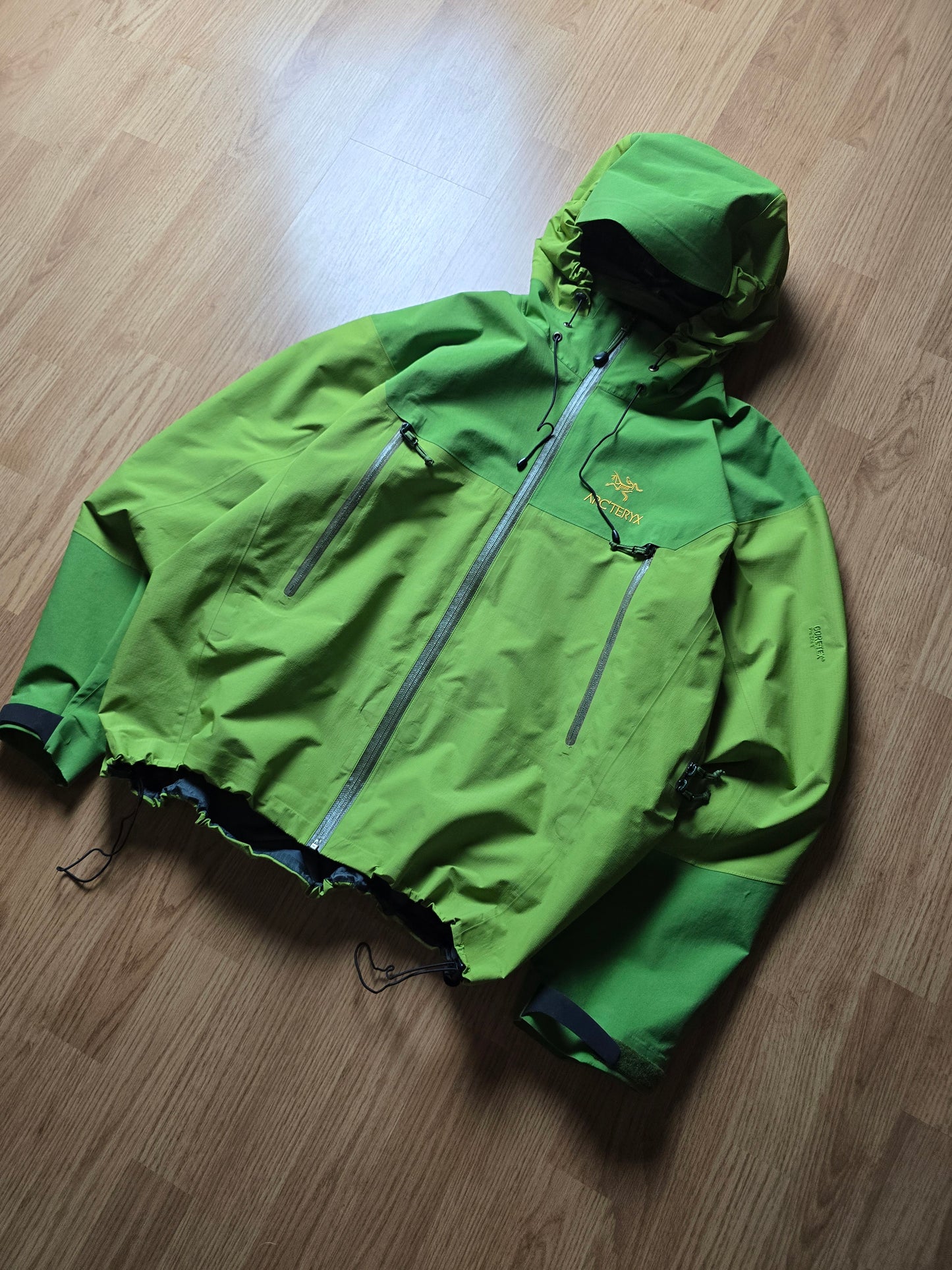 RARE Arc'teryx Vintage Beta AR Gore-tex Jacket 'Wasabi' (L)