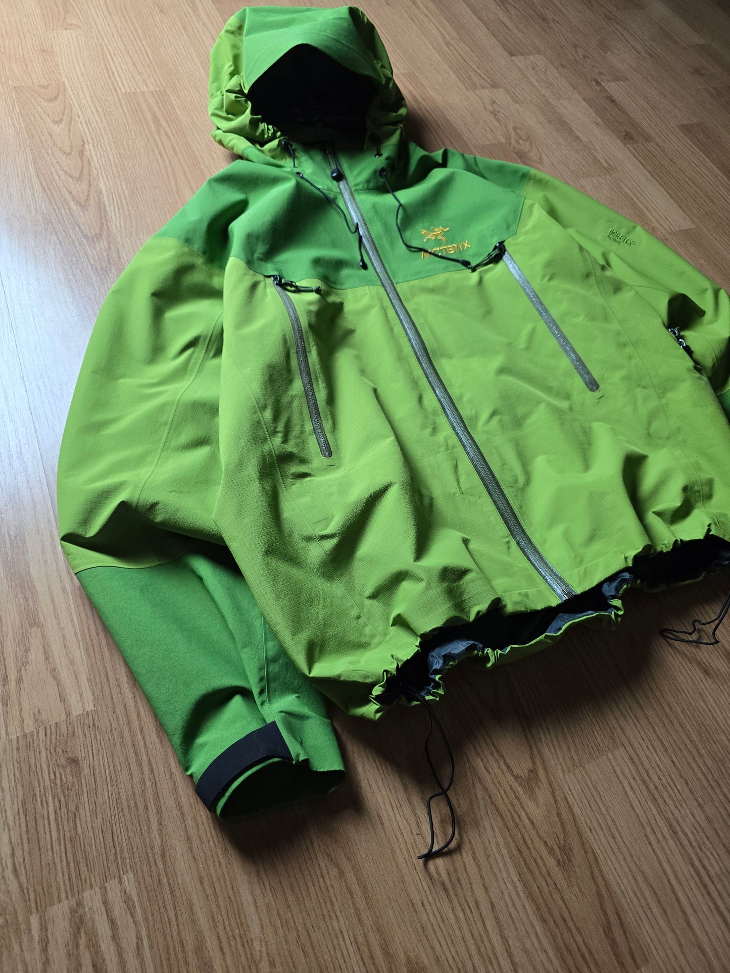 RARE Arc'teryx Vintage Beta AR Gore-tex Jacket 'Wasabi' (L)