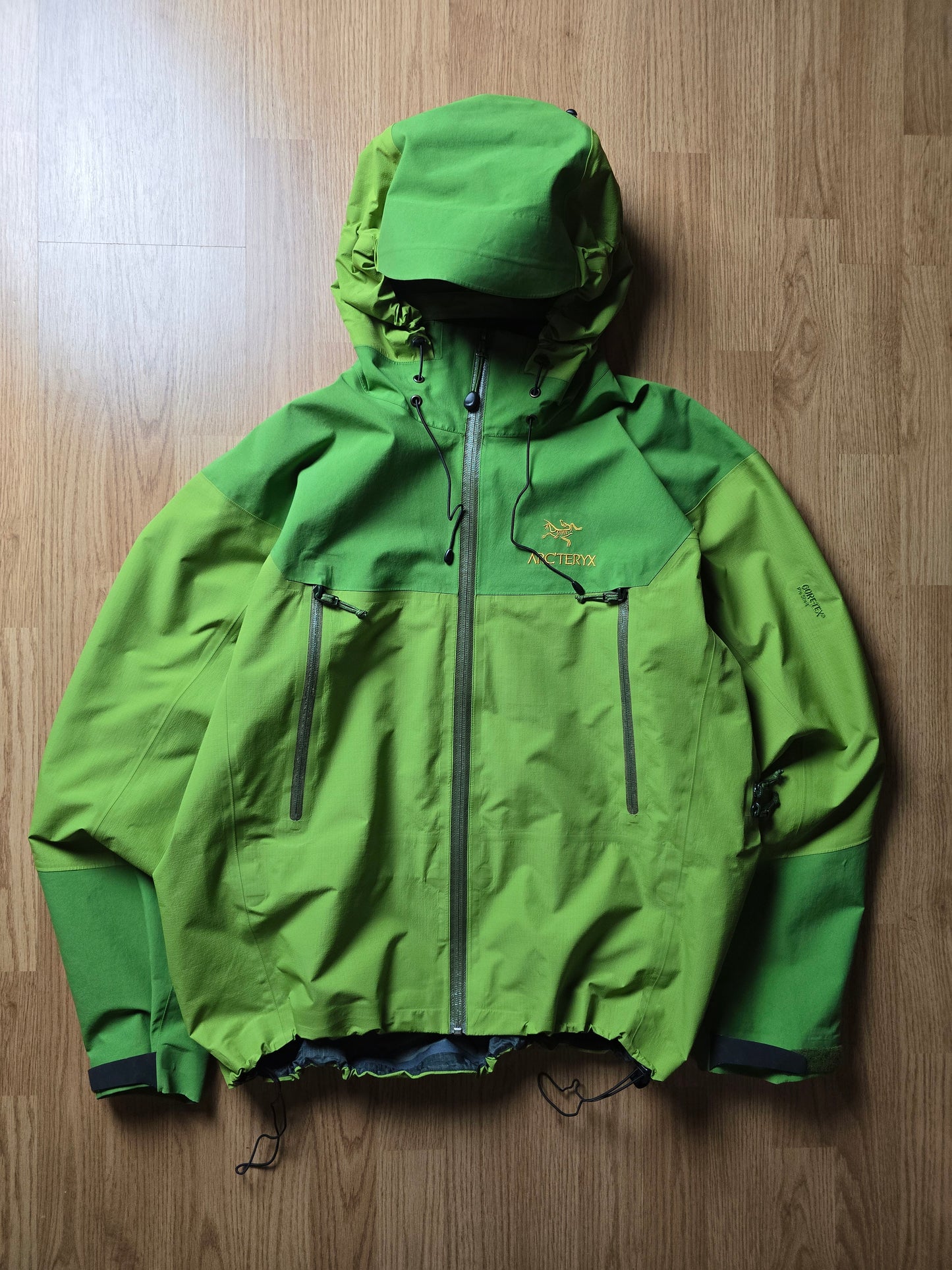 RARE Arc'teryx Vintage Beta AR Gore-tex Jacket 'Wasabi' (L)