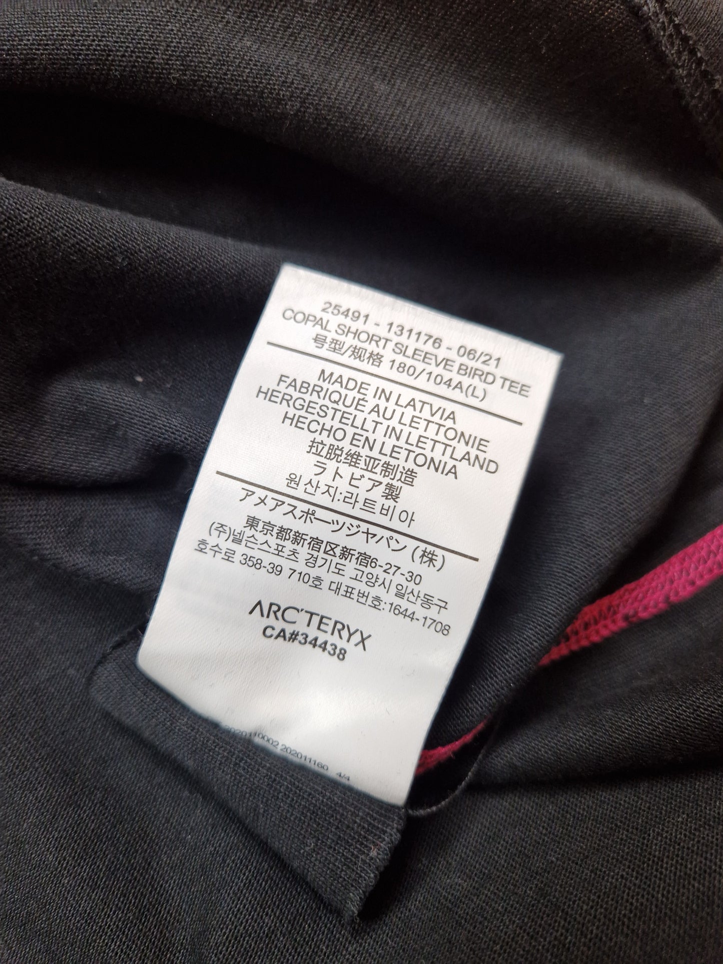 Arc'teryx System A Copal Bird T-shirt (L)