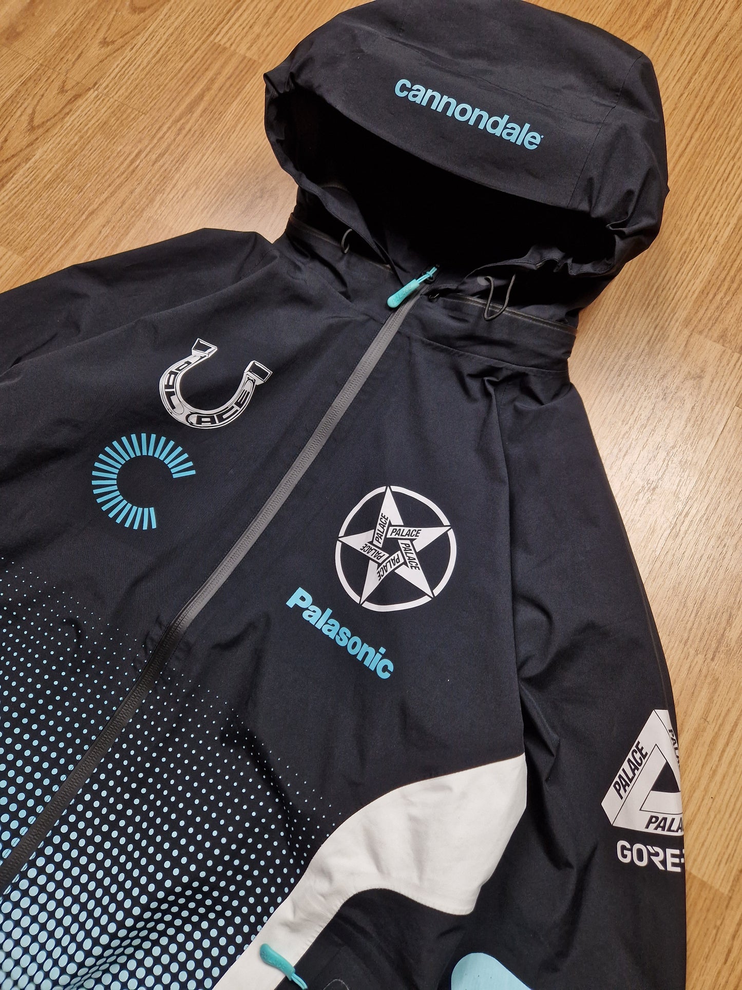 RARE Palace x Cannondale 'Mad Boy Gore-tex Paclite' Jacket (XL)