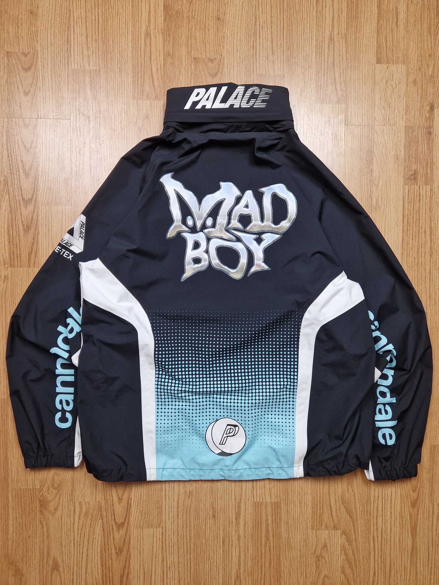 RARE Palace x Cannondale 'Mad Boy Gore-tex Paclite' Jacket (XL)