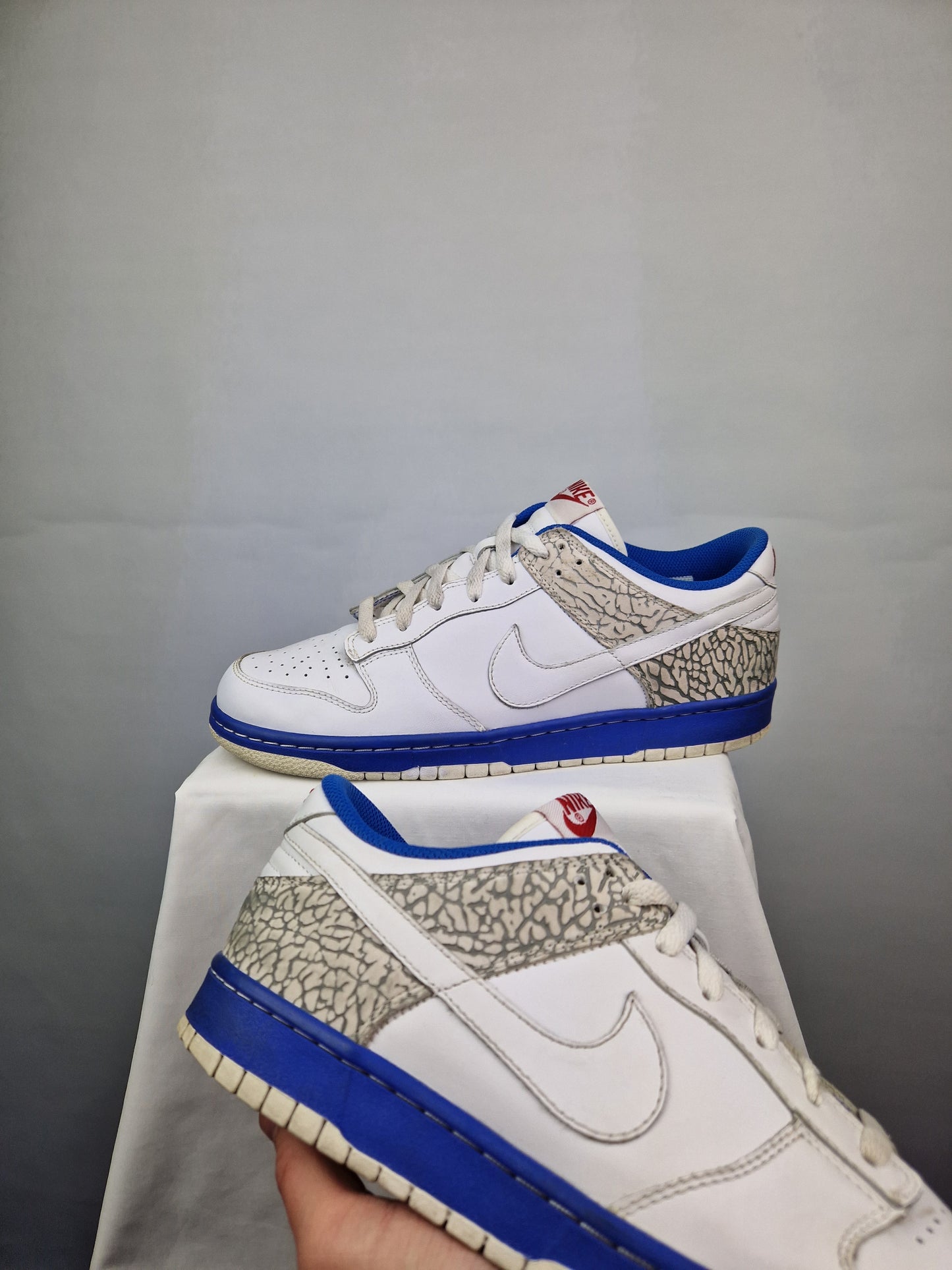 RARE 2005 Nike Dunk Low CL 'Jordan Pack' (UK9)