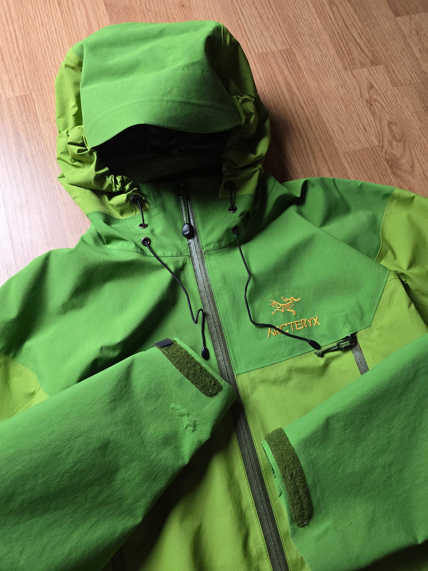 RARE Arc'teryx Vintage Beta AR Gore-tex Jacket 'Wasabi' (L)