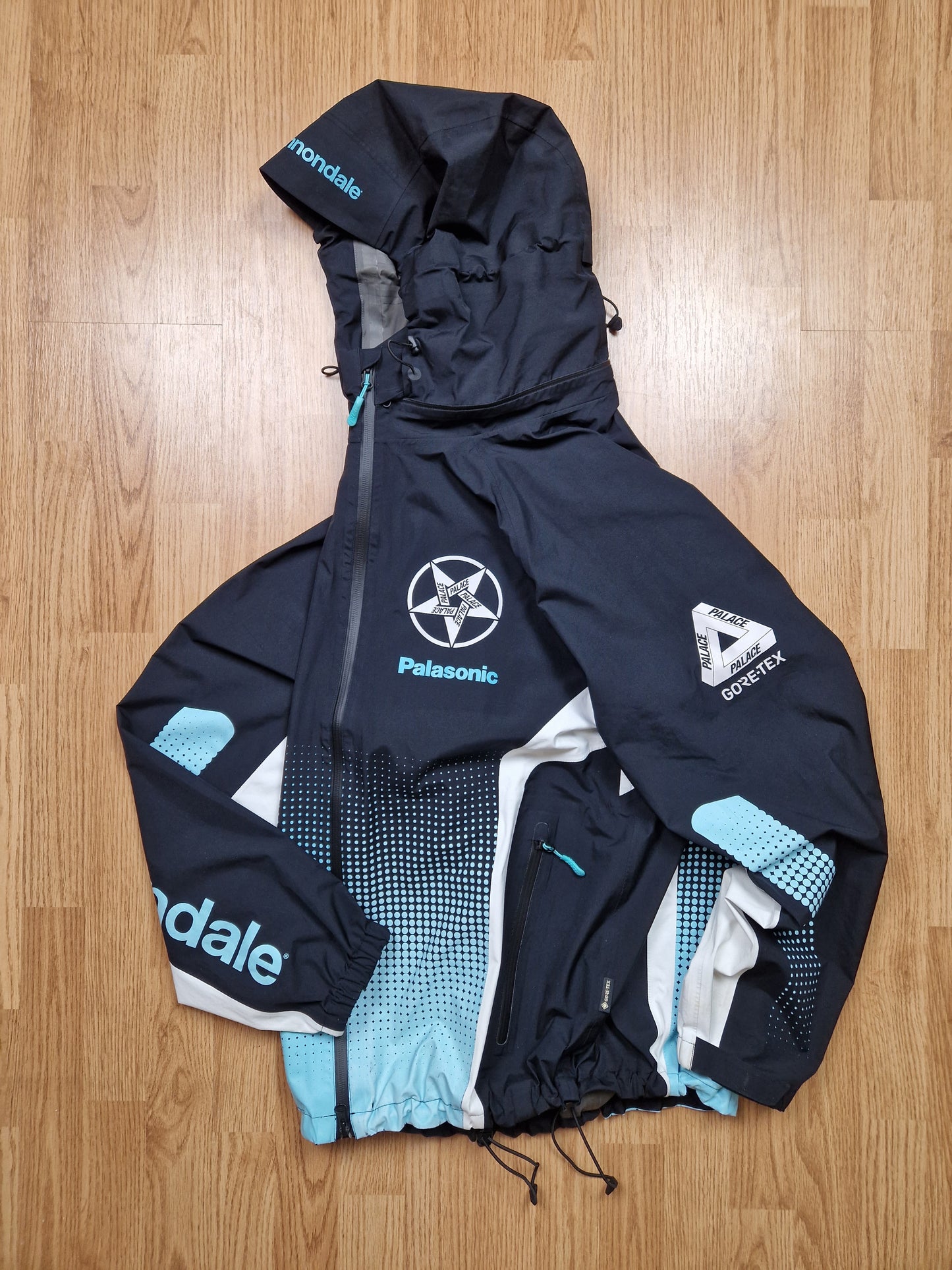 RARE Palace x Cannondale 'Mad Boy Gore-tex Paclite' Jacket (XL)
