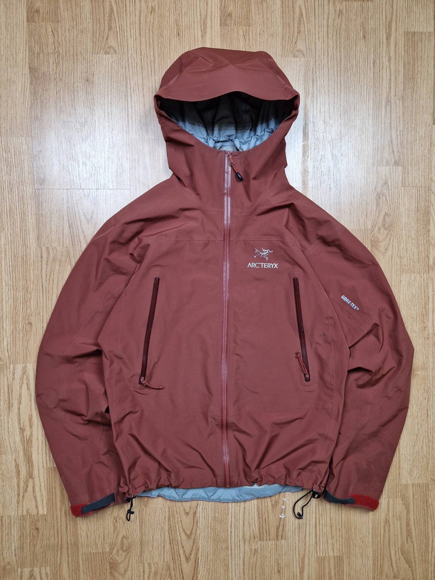 RARE Arc'teryx SAMPLE Zeta LT Gore-tex Jacket (M)
