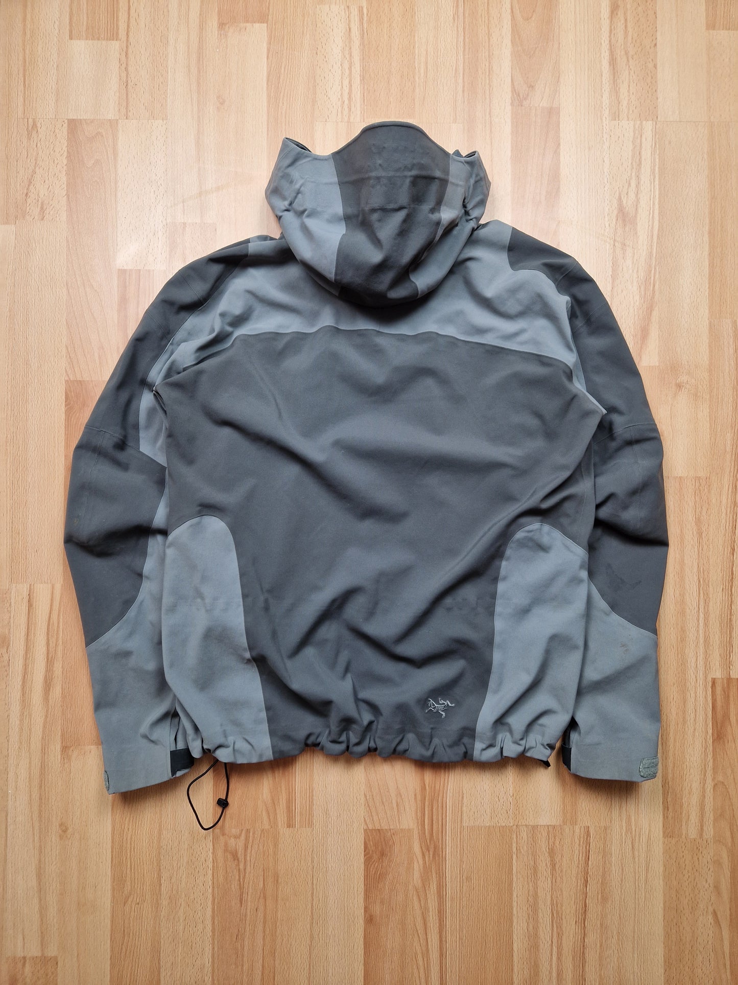 Vintage Arc'teryx Gore-tex Stingray Saltilo Jacket (L)