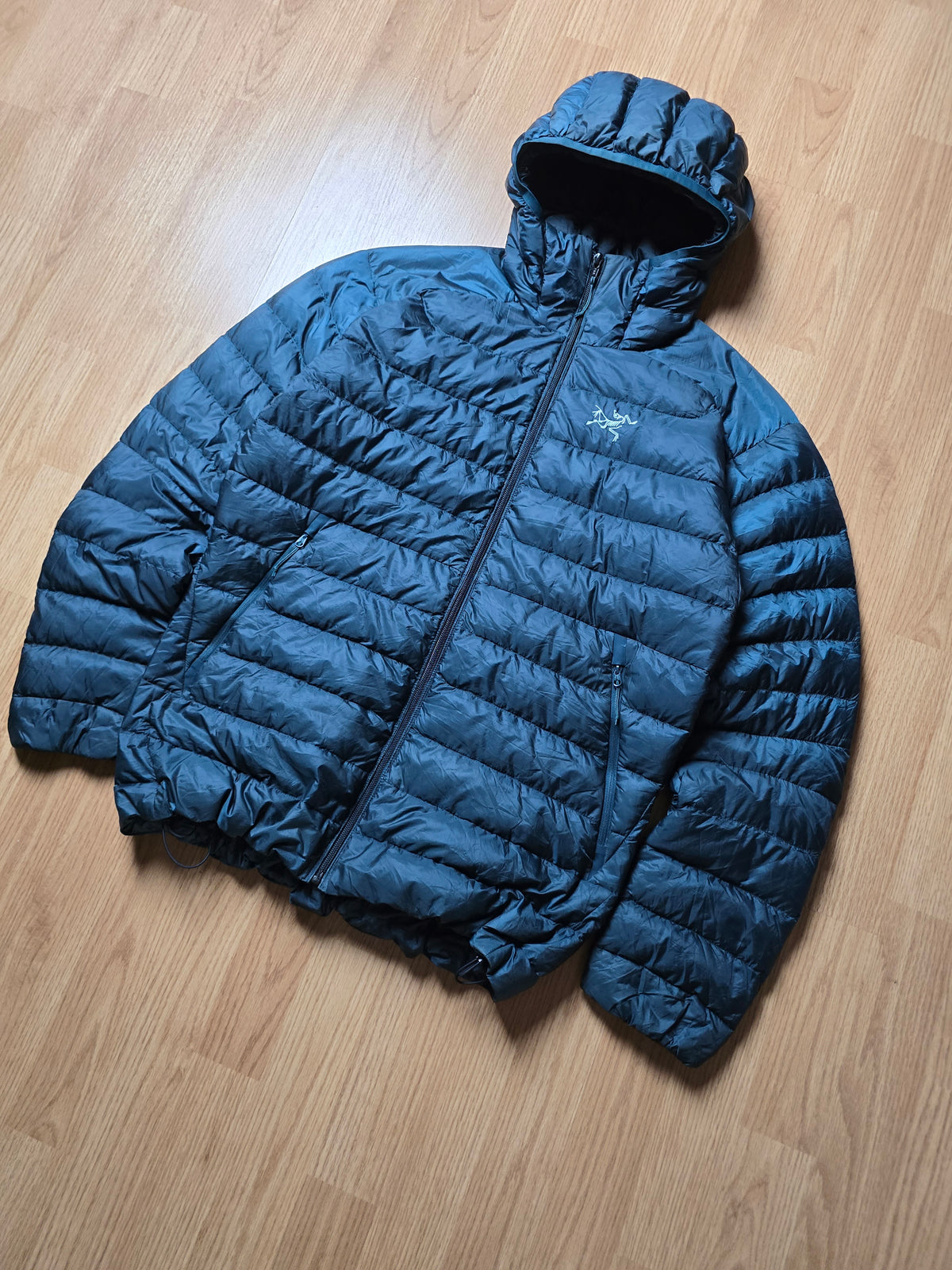 Arc'teryx 'Cerium LT Hoody' Down Filled Puffer Jacket (M)