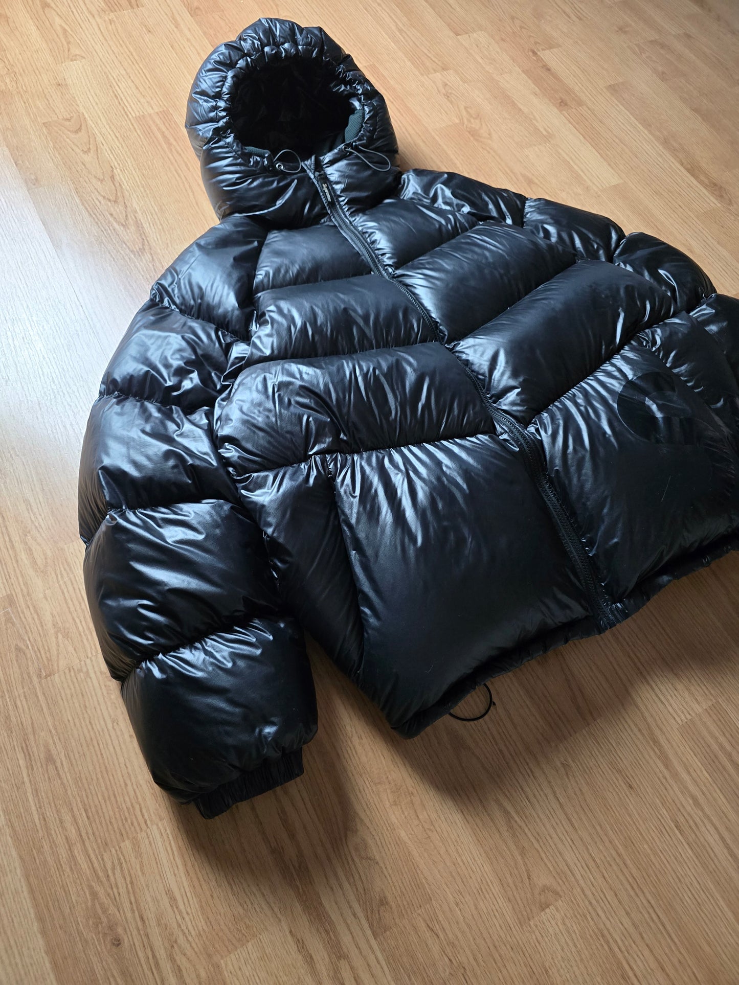 Supreme FW20 Down Hooded Puffer Jacket (XL)