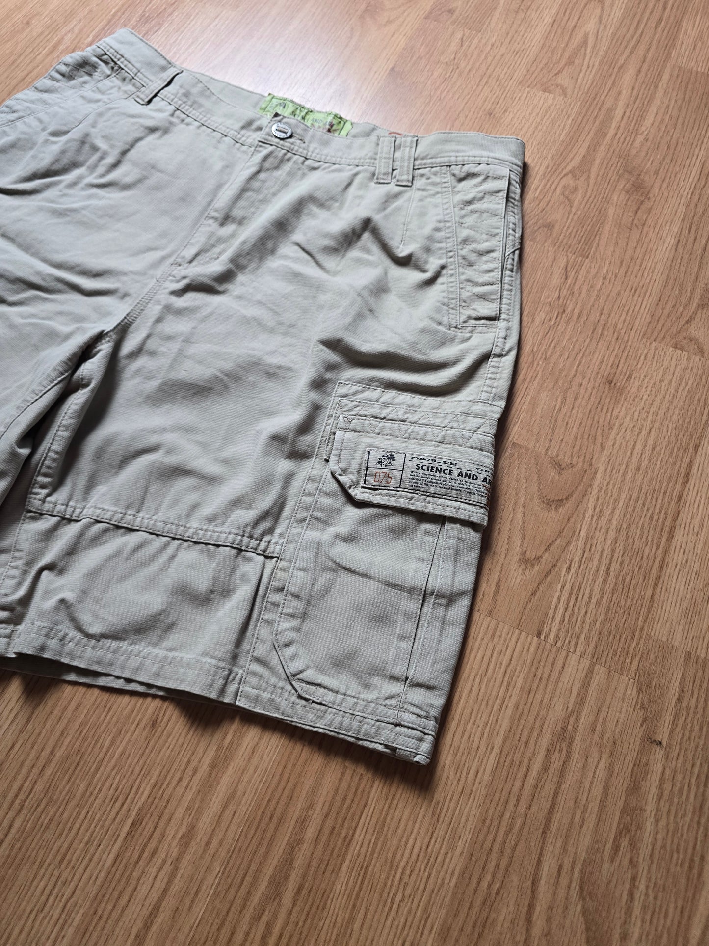 Y2K Oakley Science And Art Cargo Shorts (36)