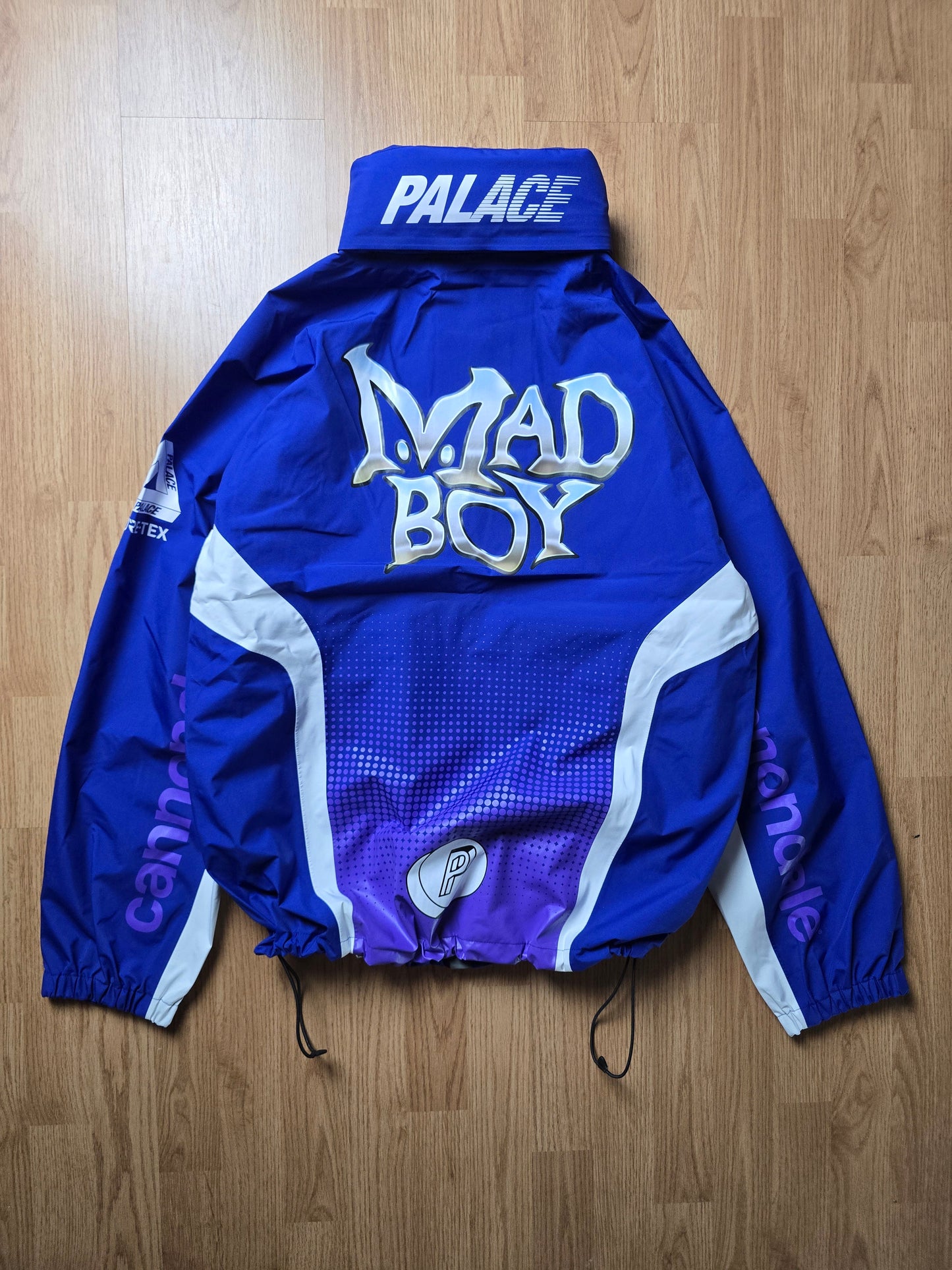 Palace x Cannondale 'Mad Boy Gore-tex Paclite' Jacket BNWT (L)