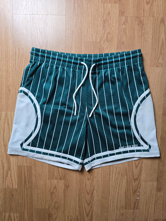 Aime Leon Dore Stiped Court Mesh Basketball Shorts (M)