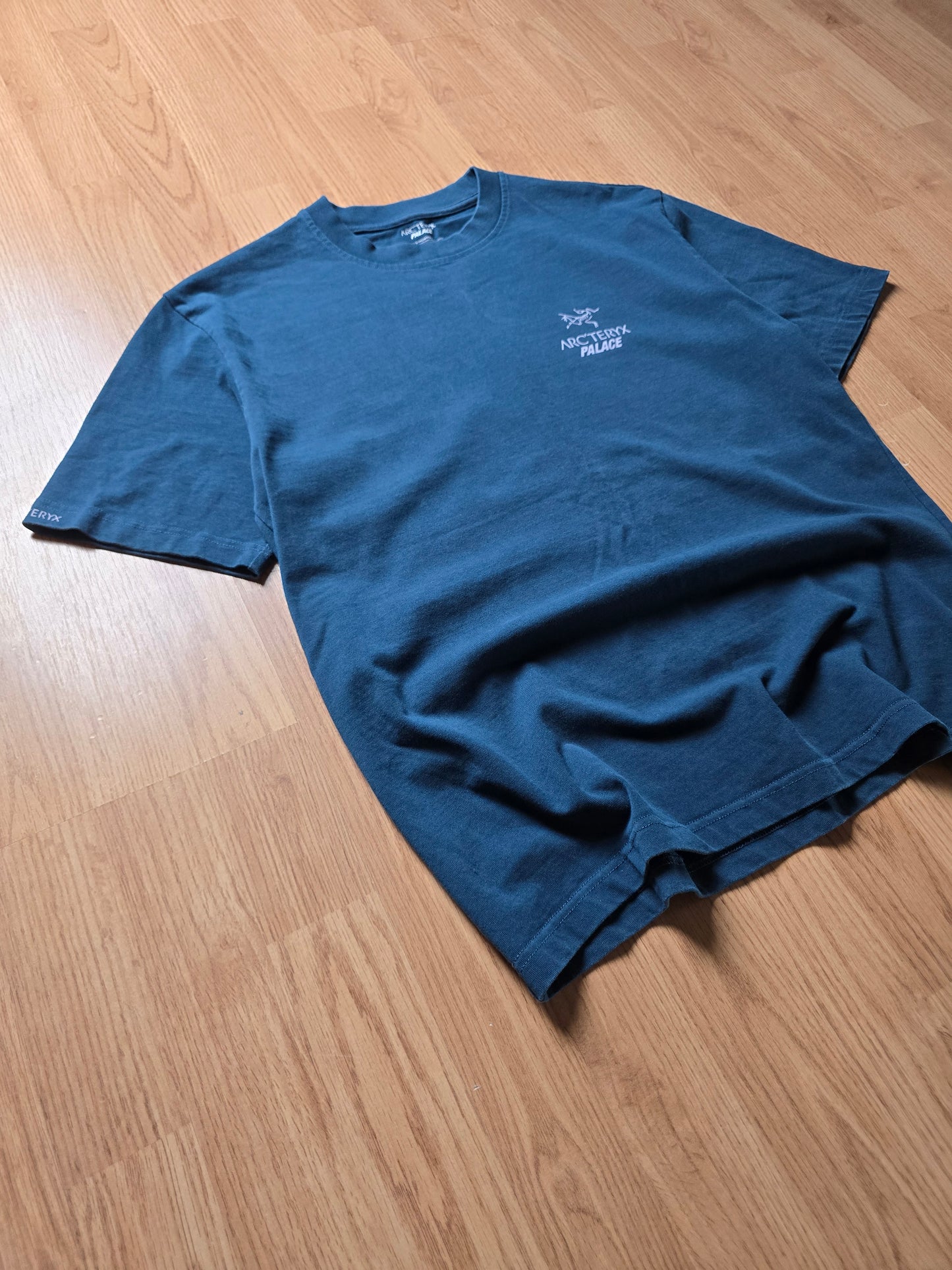 Palace x Arc'teryx T-shirt (S)