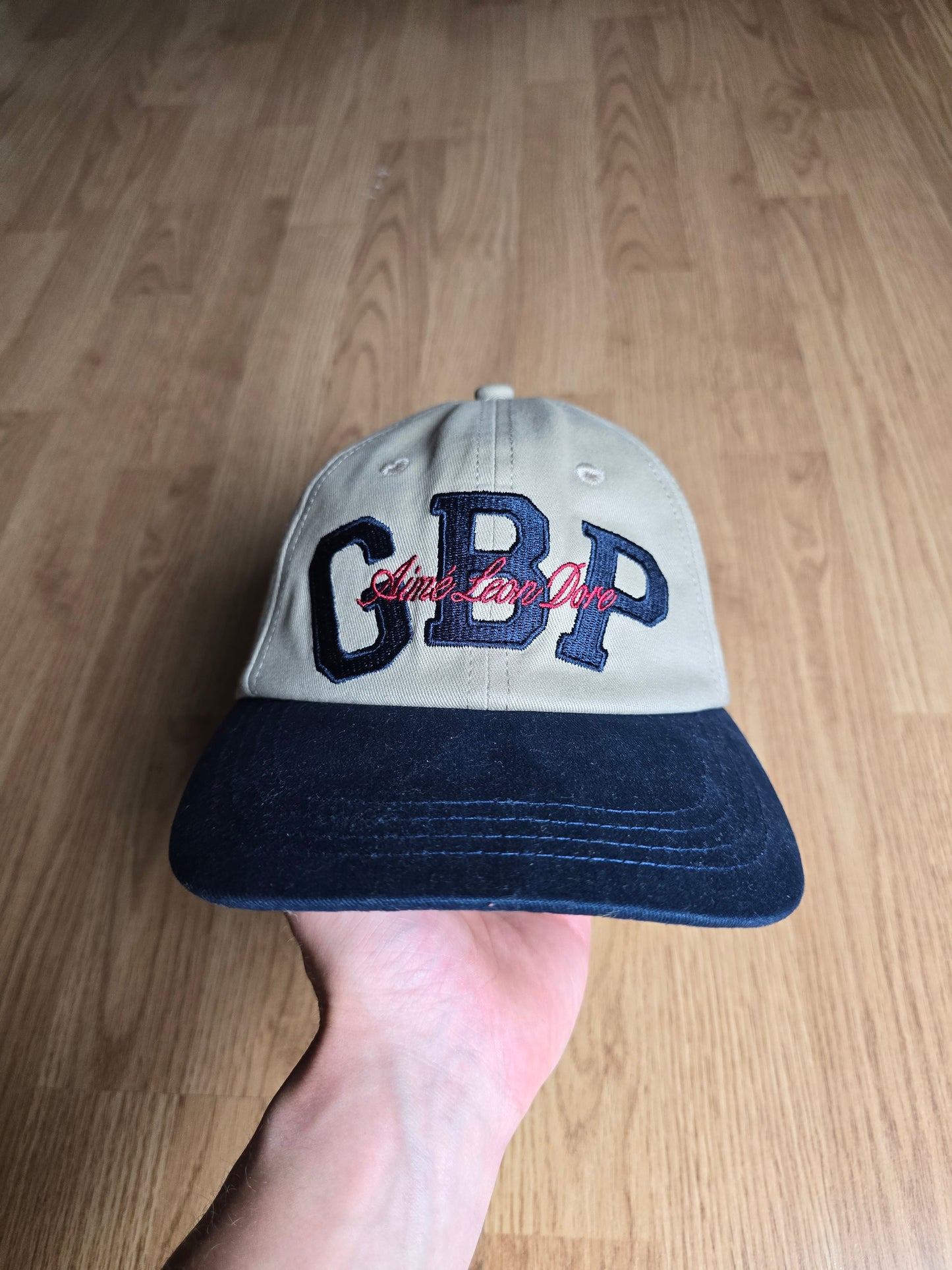 Aime Leon Dore USD Currency Hat