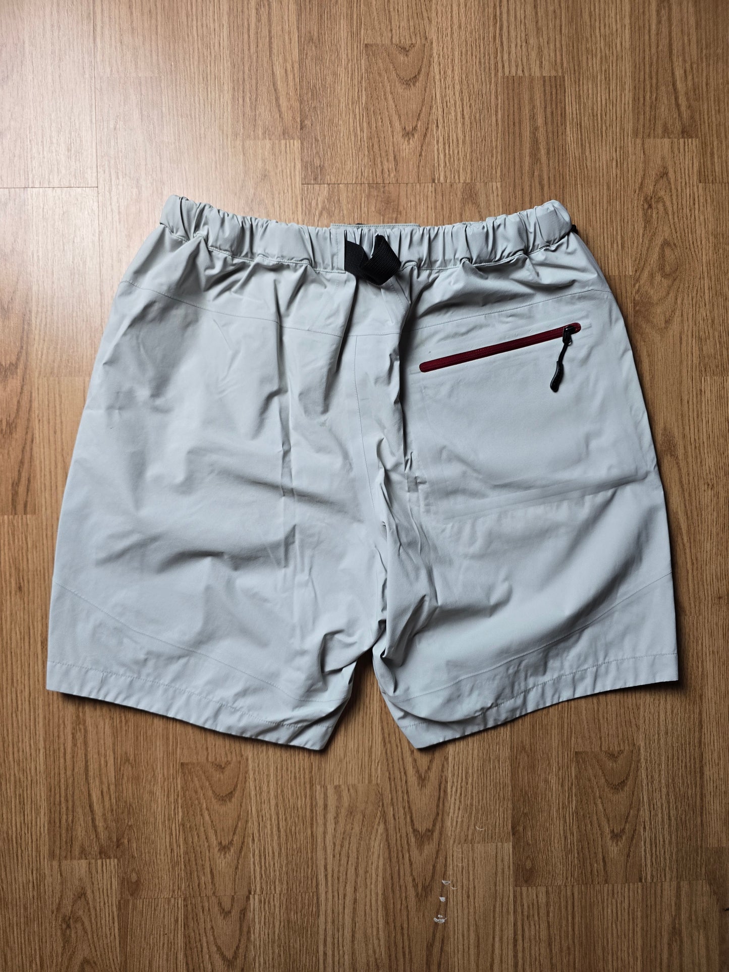 Palace Gore-tex S-Tech Technical Cargo Shorts (M)