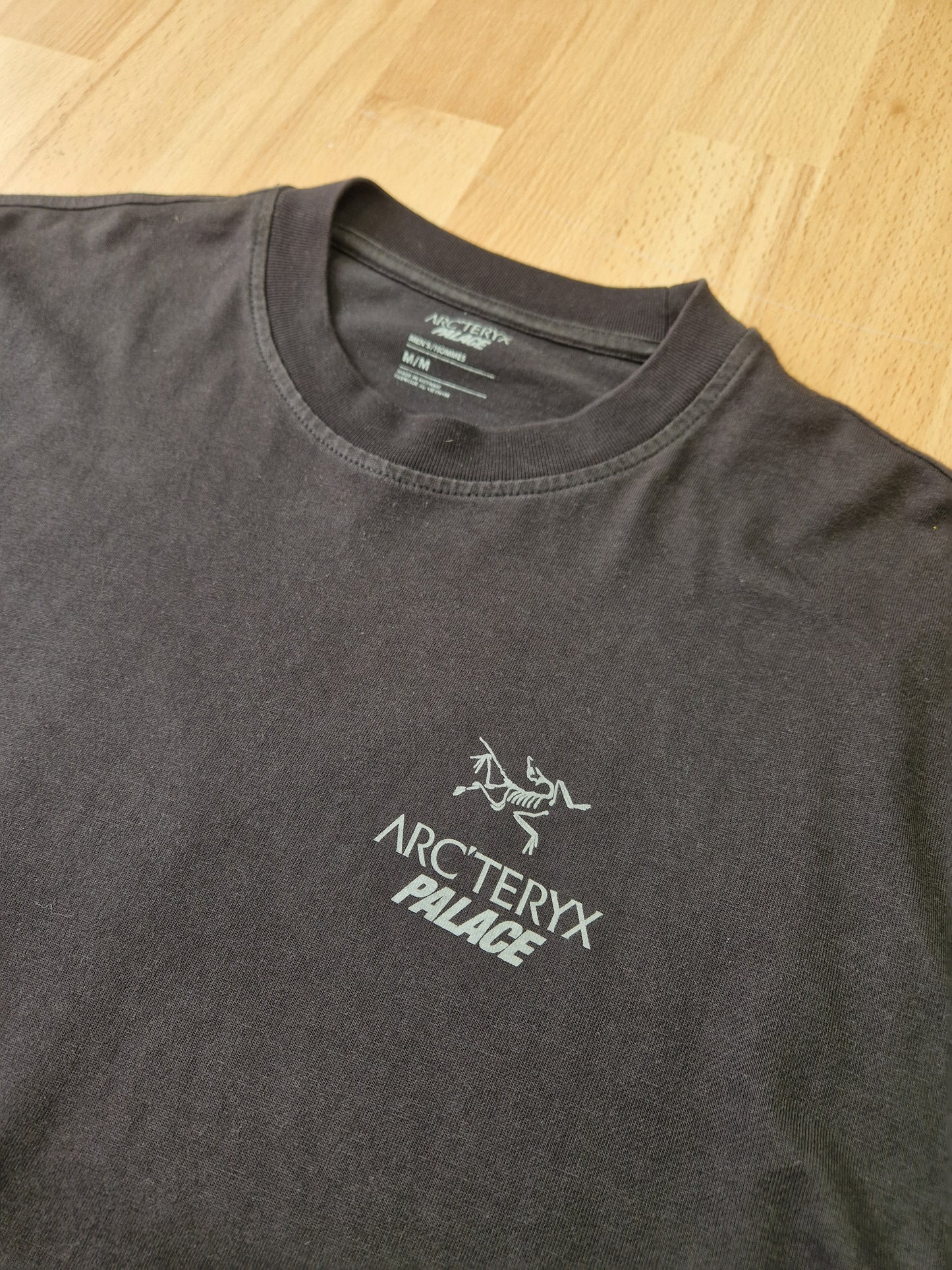 Palace x Arc'teryx T-shirt (M)