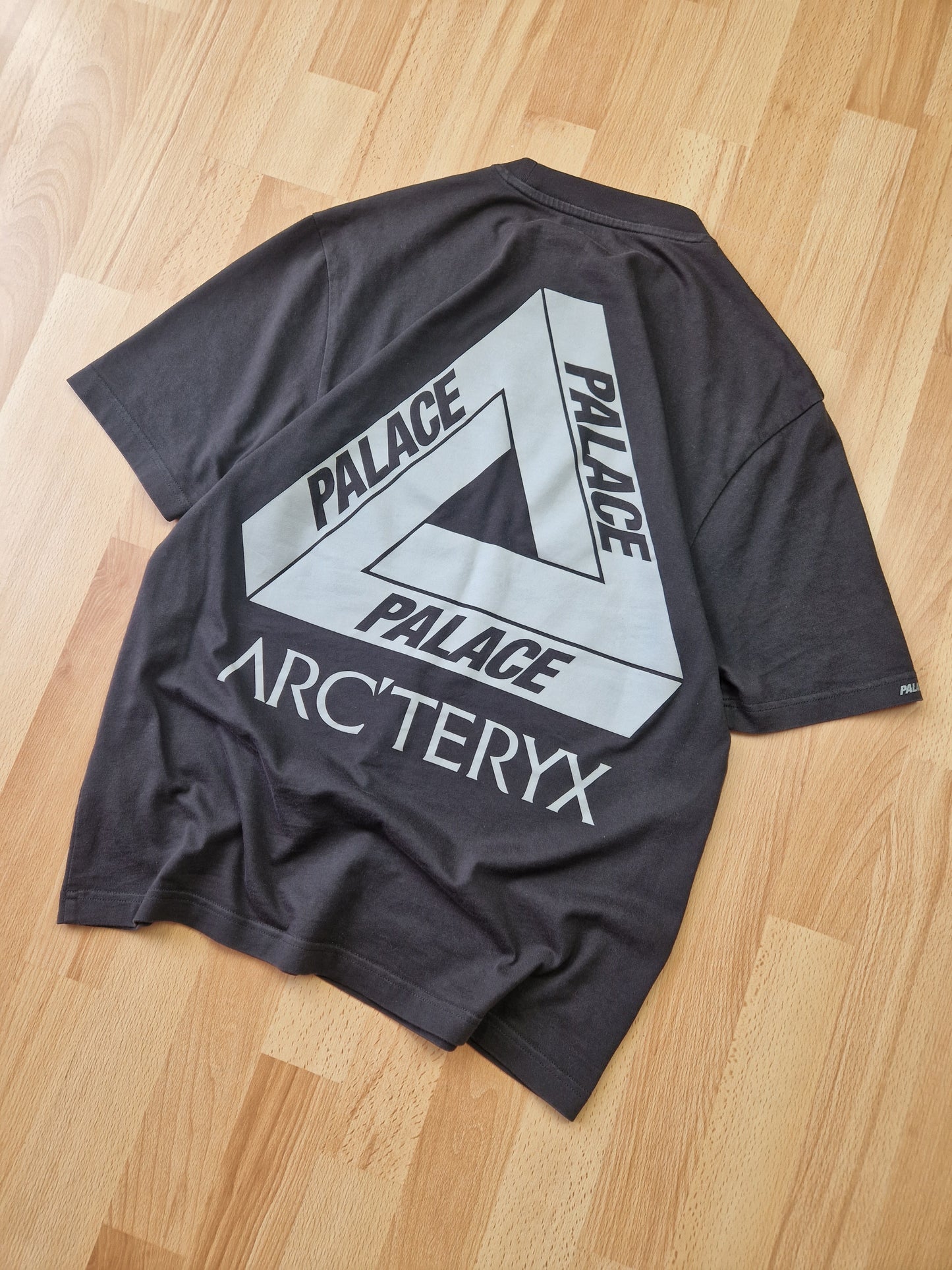 Palace x Arc'teryx T-shirt (M)