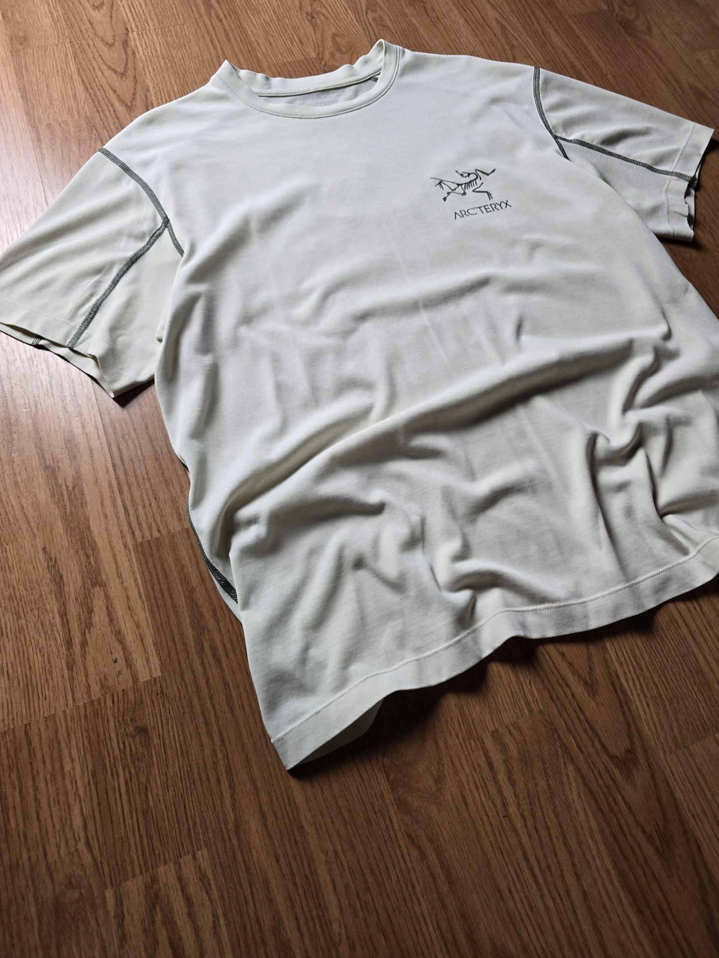 Arc'teryx System A Copal Bird T-shirt (M)