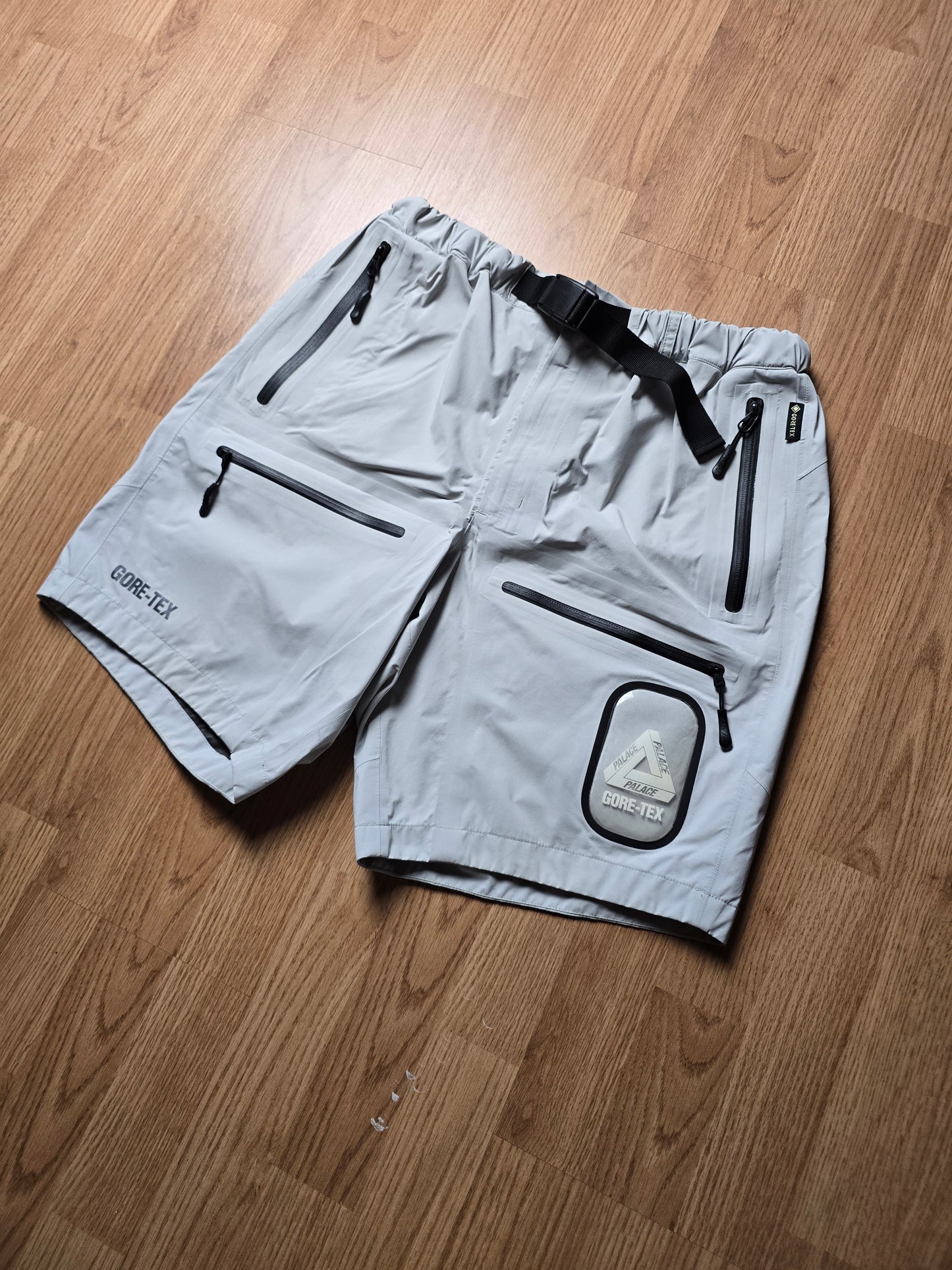 Palace Gore-tex S-Tech Technical Cargo Shorts (M)