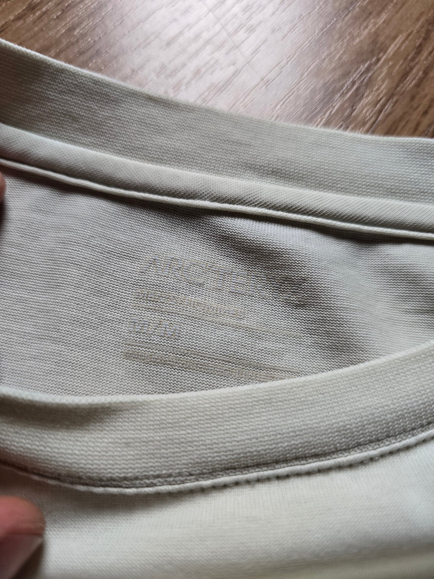 Arc'teryx System A Copal Bird T-shirt (M)