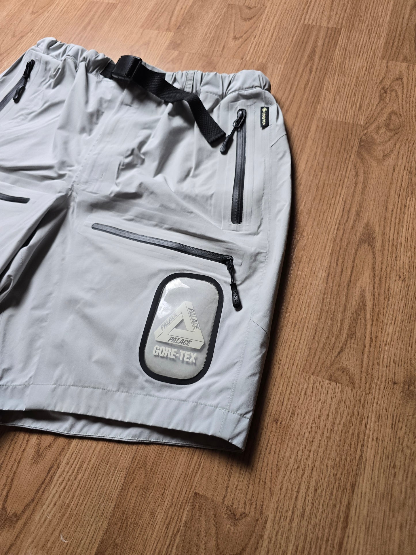 Palace Gore-tex S-Tech Technical Cargo Shorts (M)
