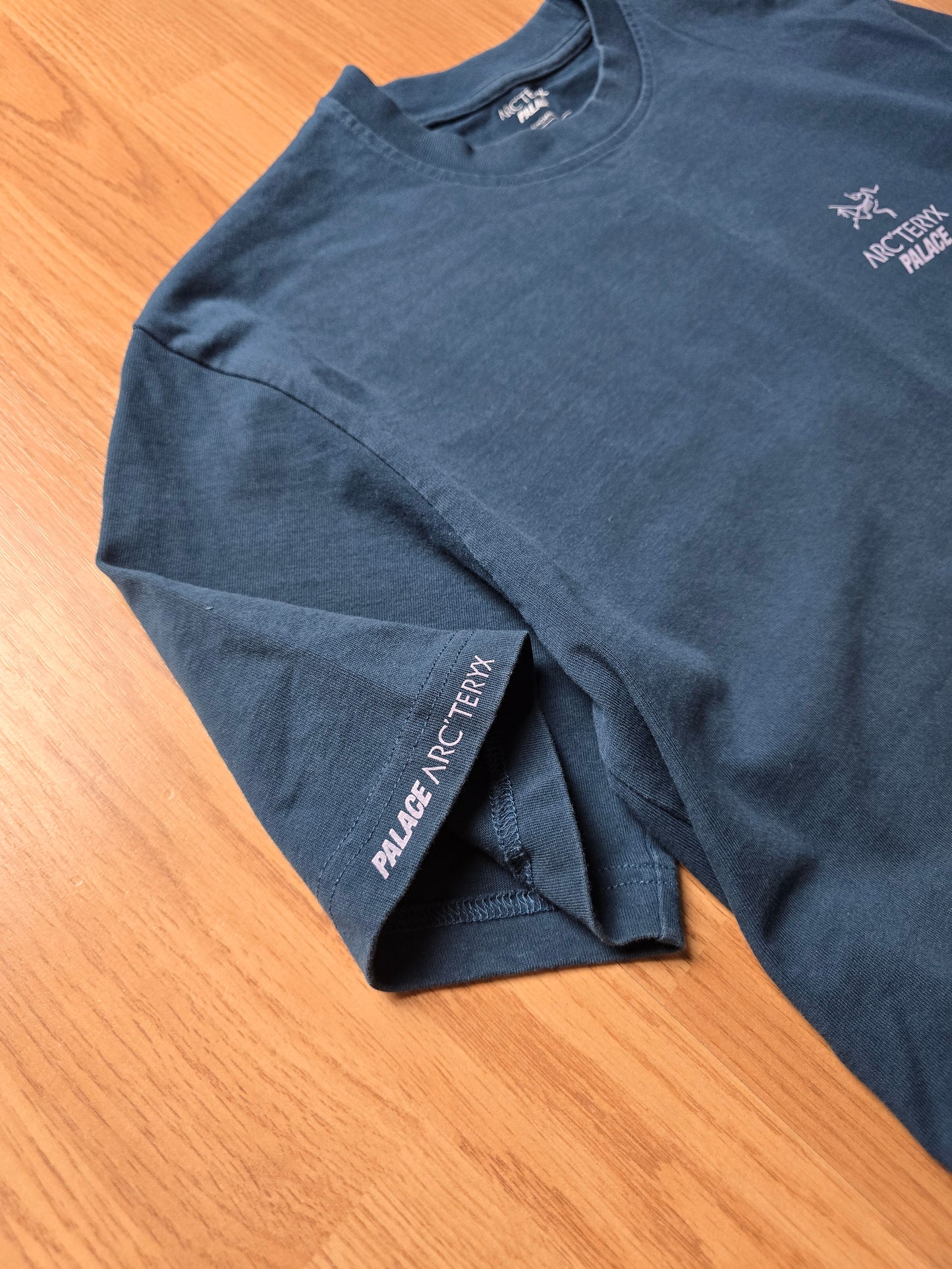Palace x Arc'teryx T-shirt (S)
