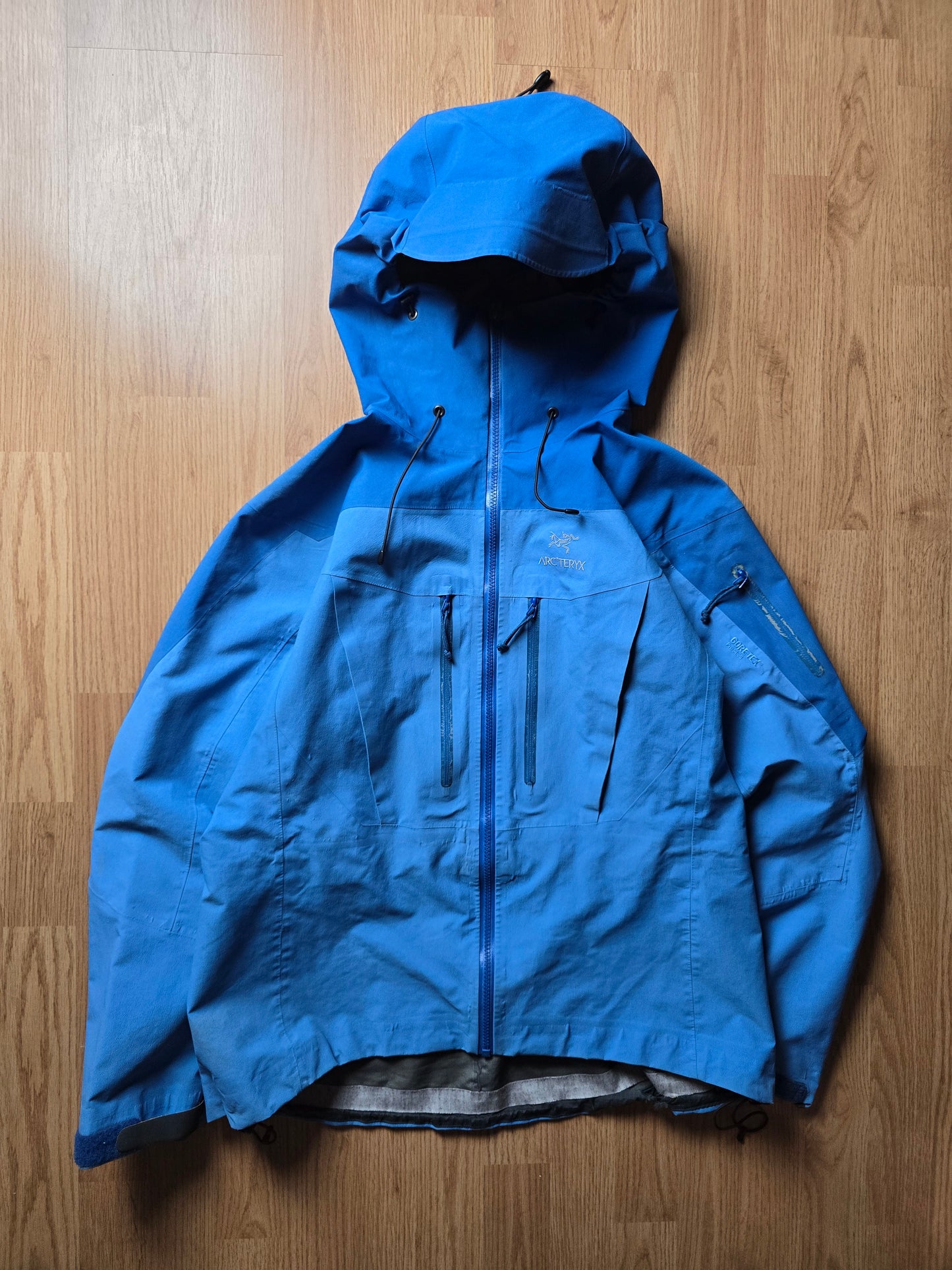 W/ RARE Arc'teryx Vintage Alpha SV Gore-tex Jacket (L)