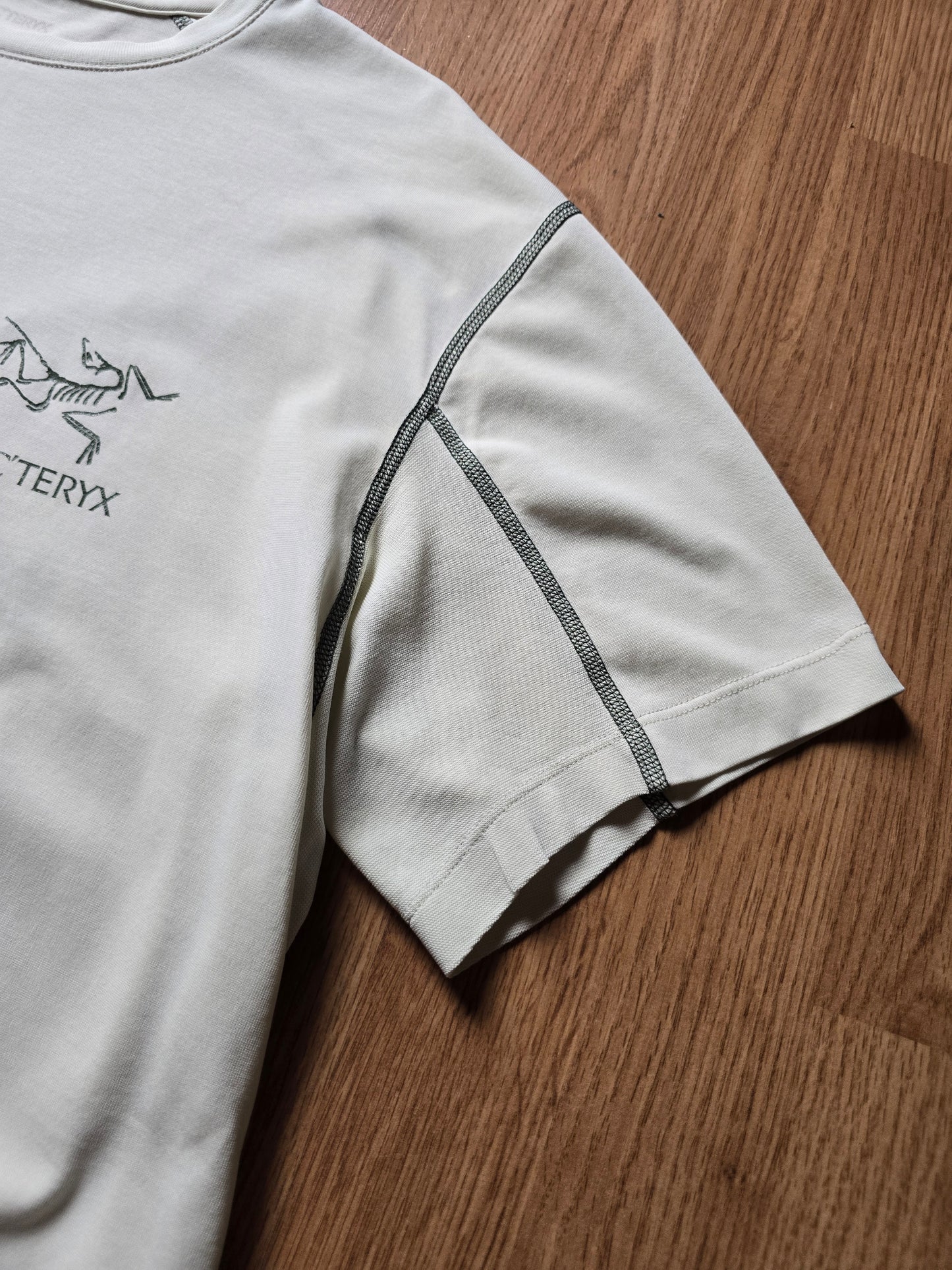 Arc'teryx System A Copal Bird T-shirt (M)
