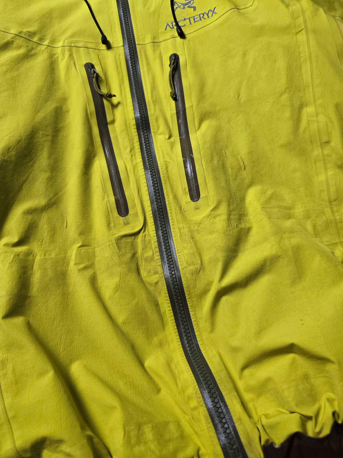 Arc'teryx Alpha AR "Lichen" Gore-tex Pro Shell Jacket (S/M)