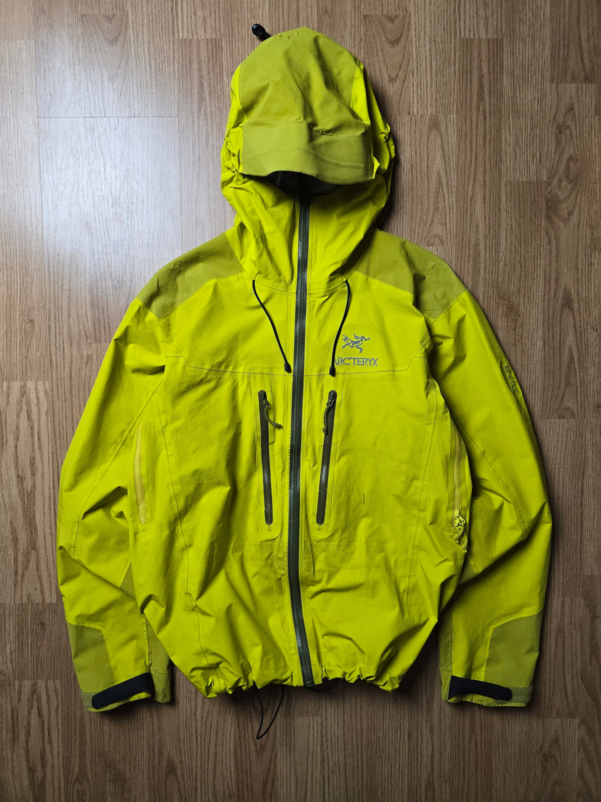 Arc'teryx Alpha AR "Lichen" Gore-tex Pro Shell Jacket (S/M)