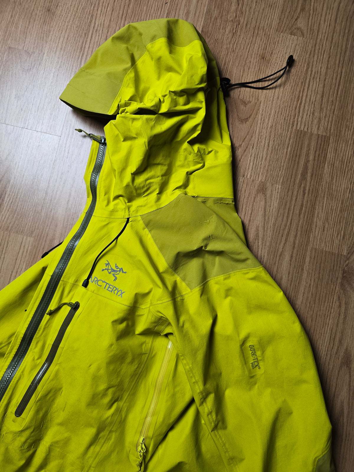 Arc'teryx Alpha AR "Lichen" Gore-tex Pro Shell Jacket (S/M)