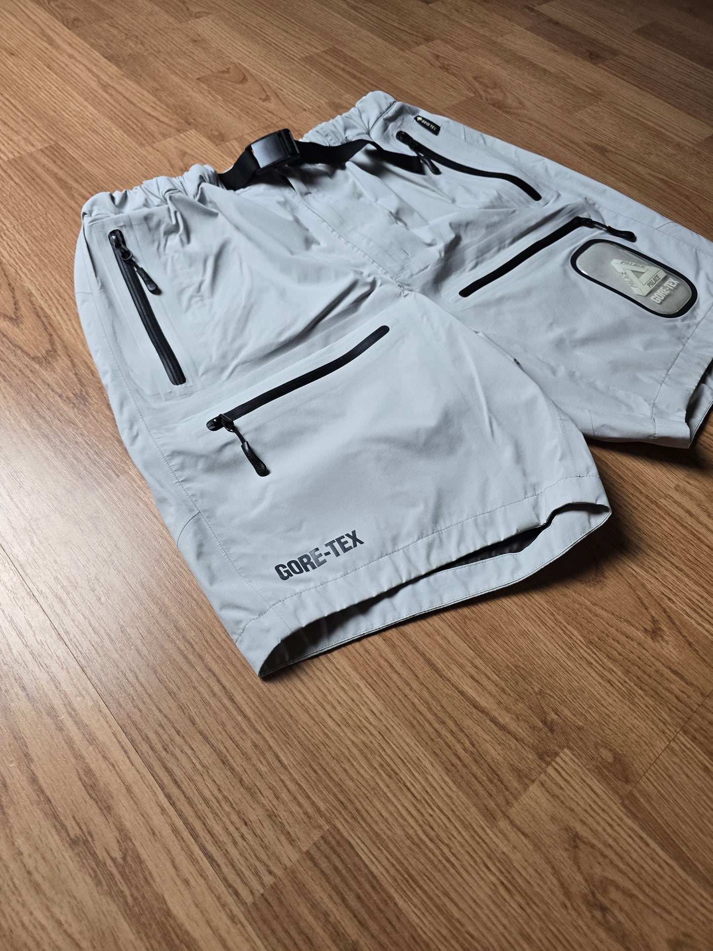 Palace Gore-tex S-Tech Technical Cargo Shorts (M)
