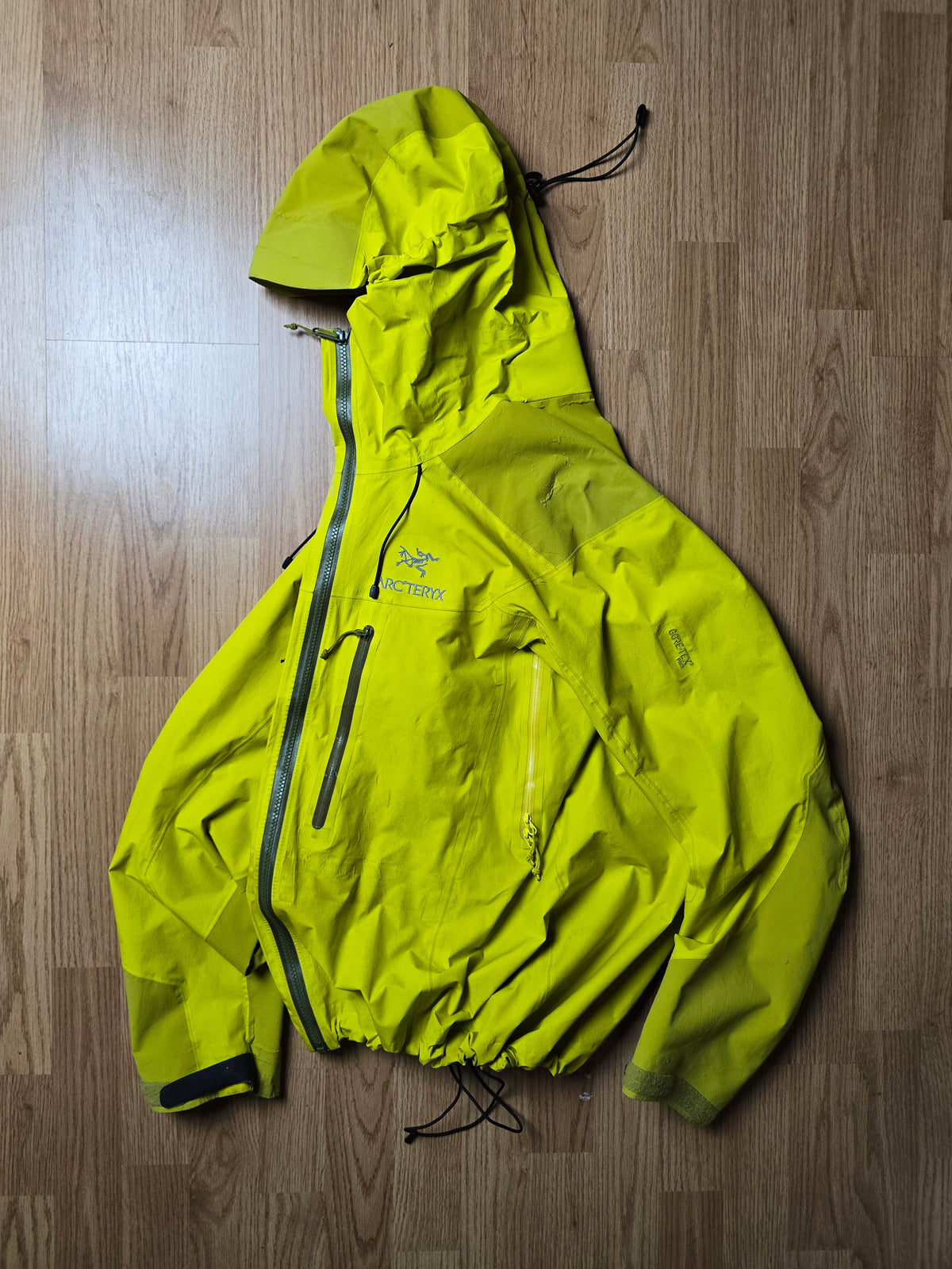 Arc'teryx Alpha AR "Lichen" Gore-tex Pro Shell Jacket (S/M)