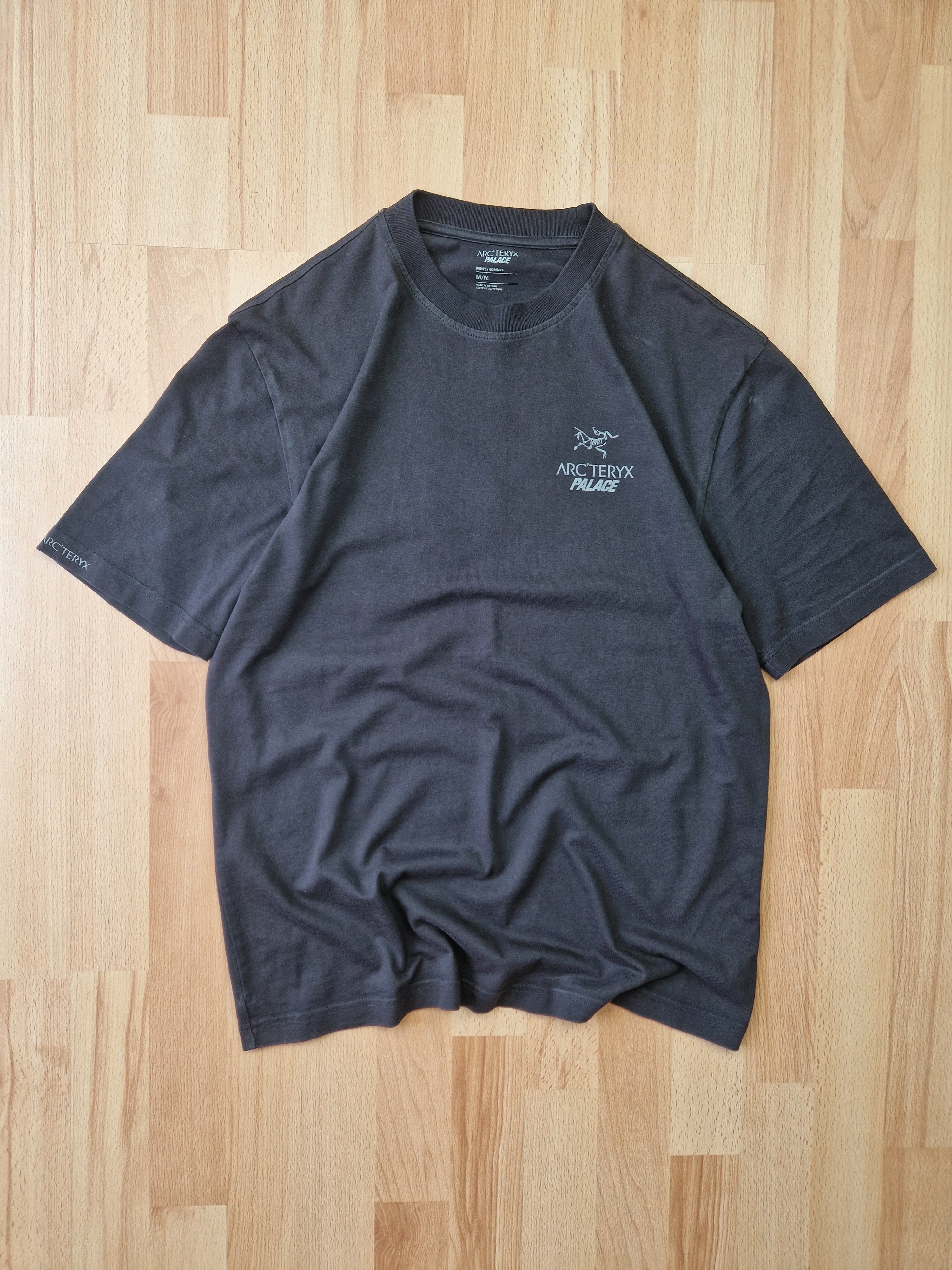 Arcteryx palace good tee