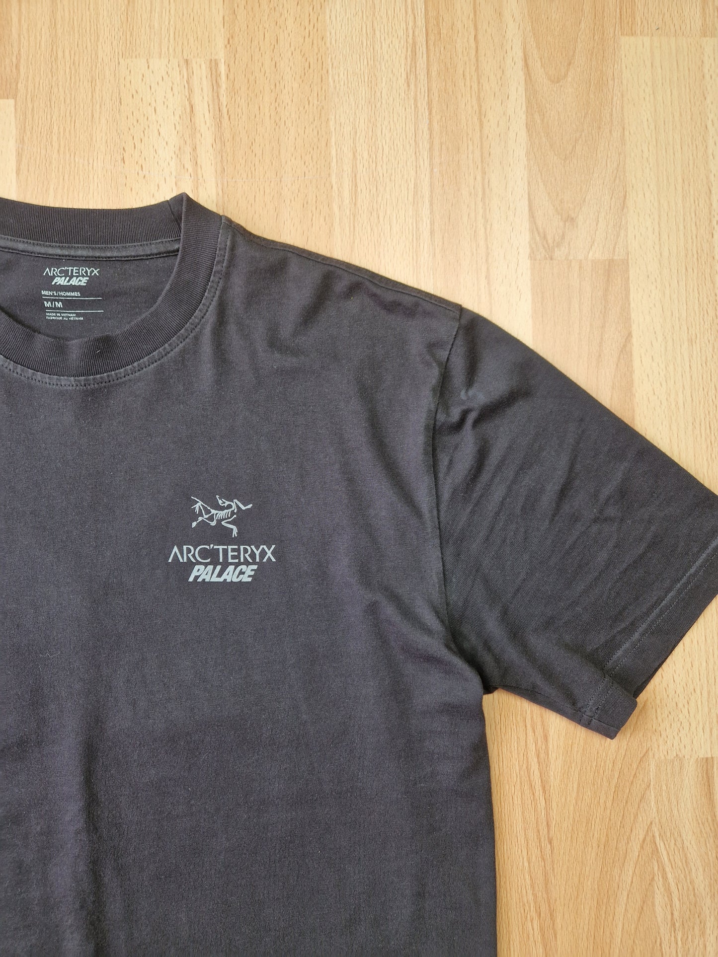 Palace x Arc'teryx T-shirt (M)