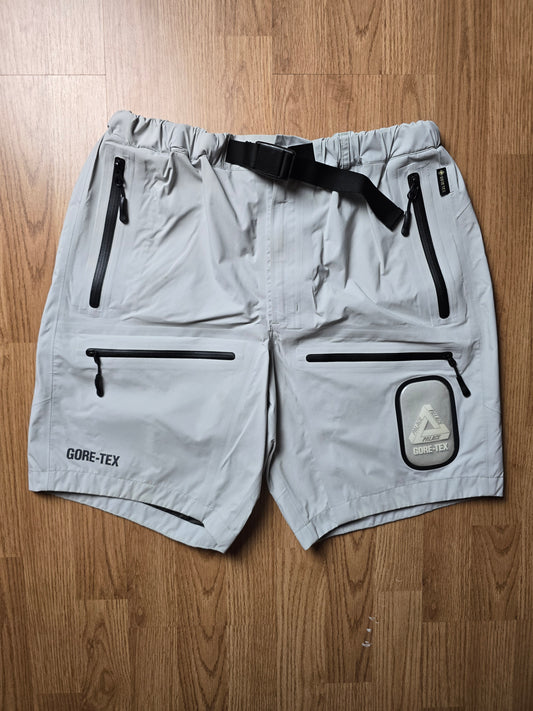 Palace Gore-tex S-Tech Technical Cargo Shorts (M)