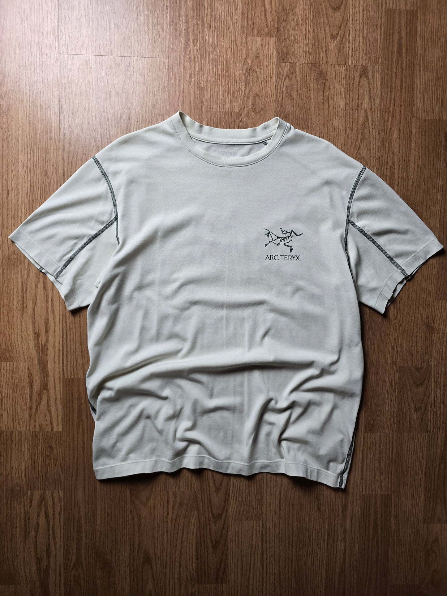 Arc'teryx System A Copal Bird T-shirt (M)