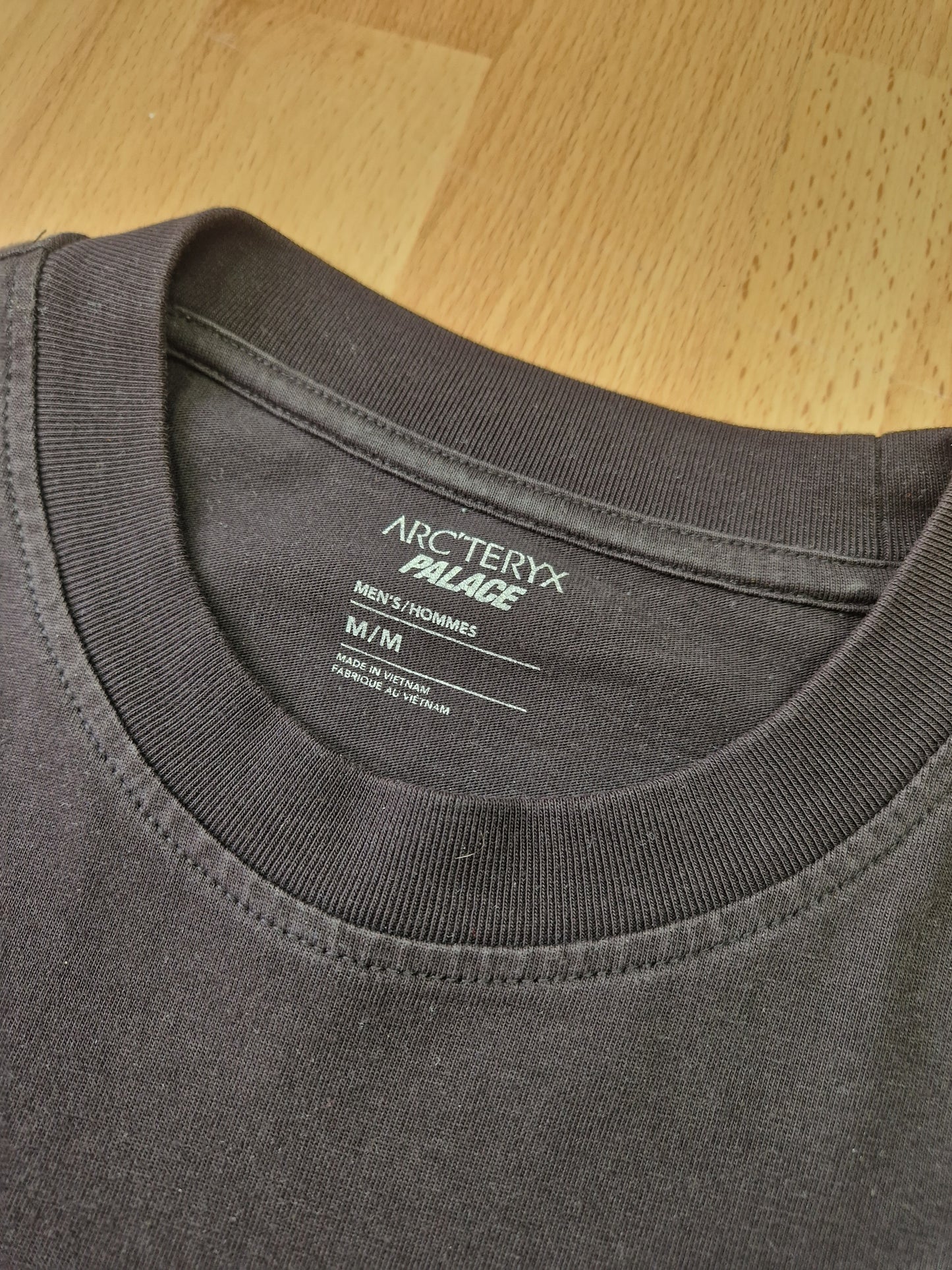 Palace x Arc'teryx T-shirt (M)