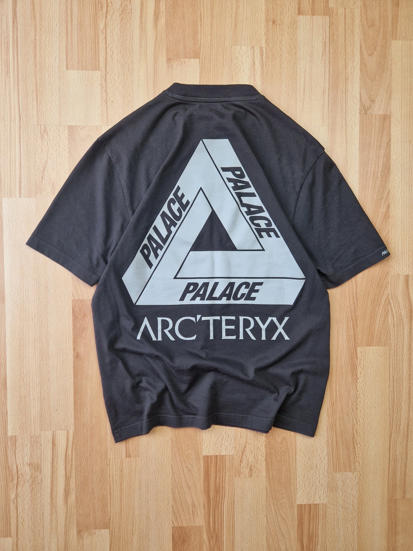 Palace x Arc'teryx T-shirt (M)