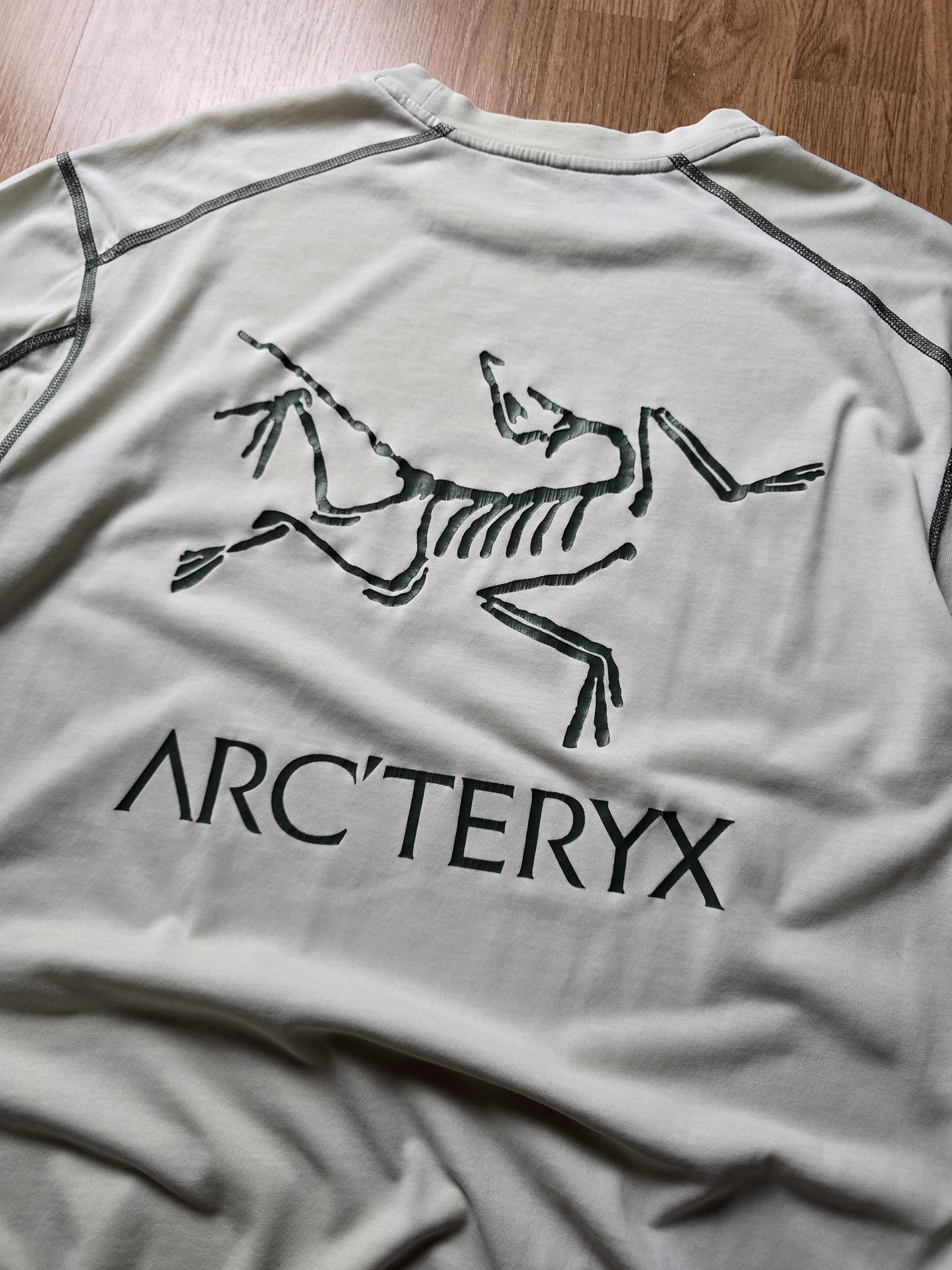 Arc'teryx System A Copal Bird T-shirt (M)