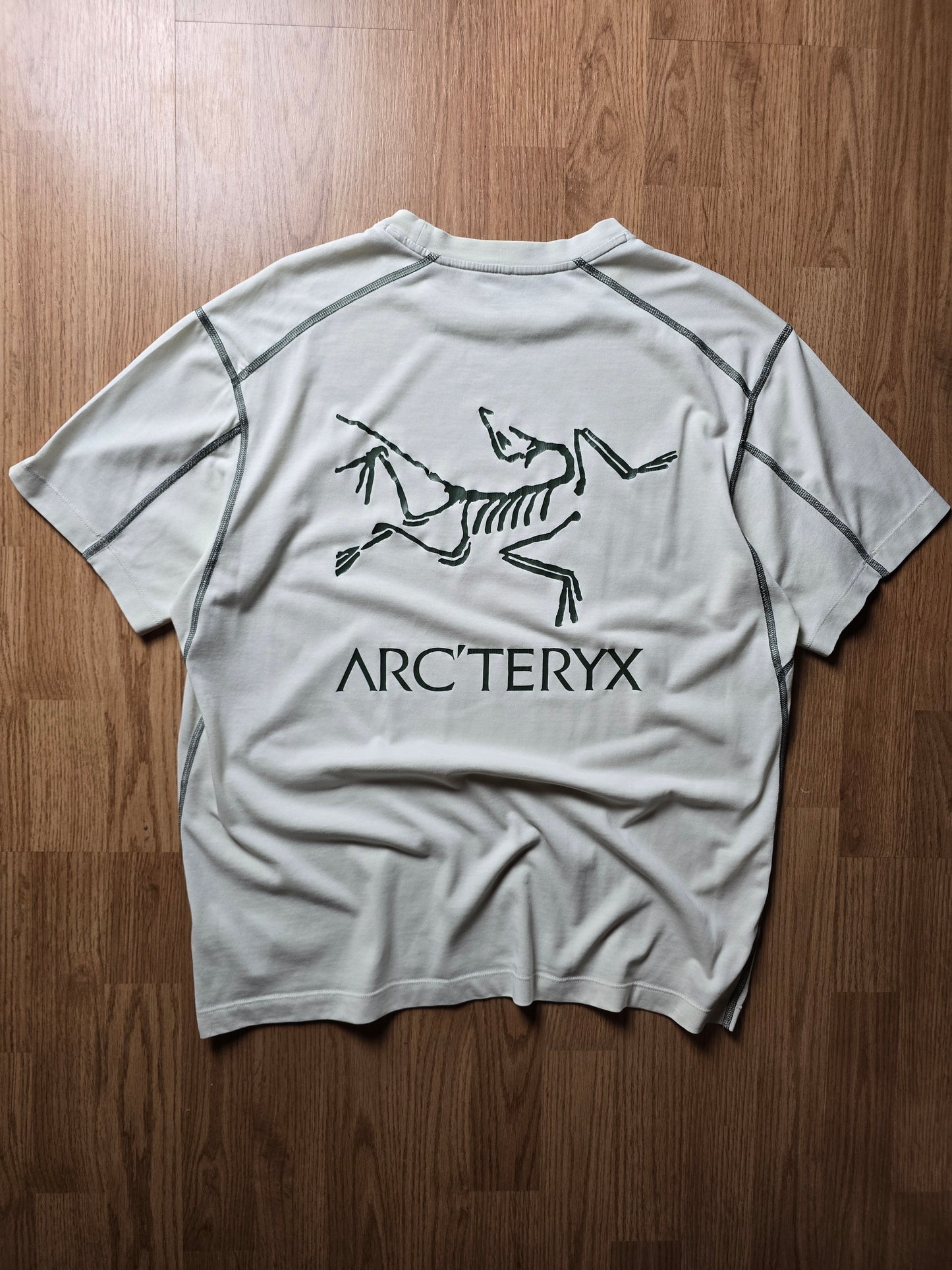 Arc'teryx System A Copal Bird T-shirt (M)