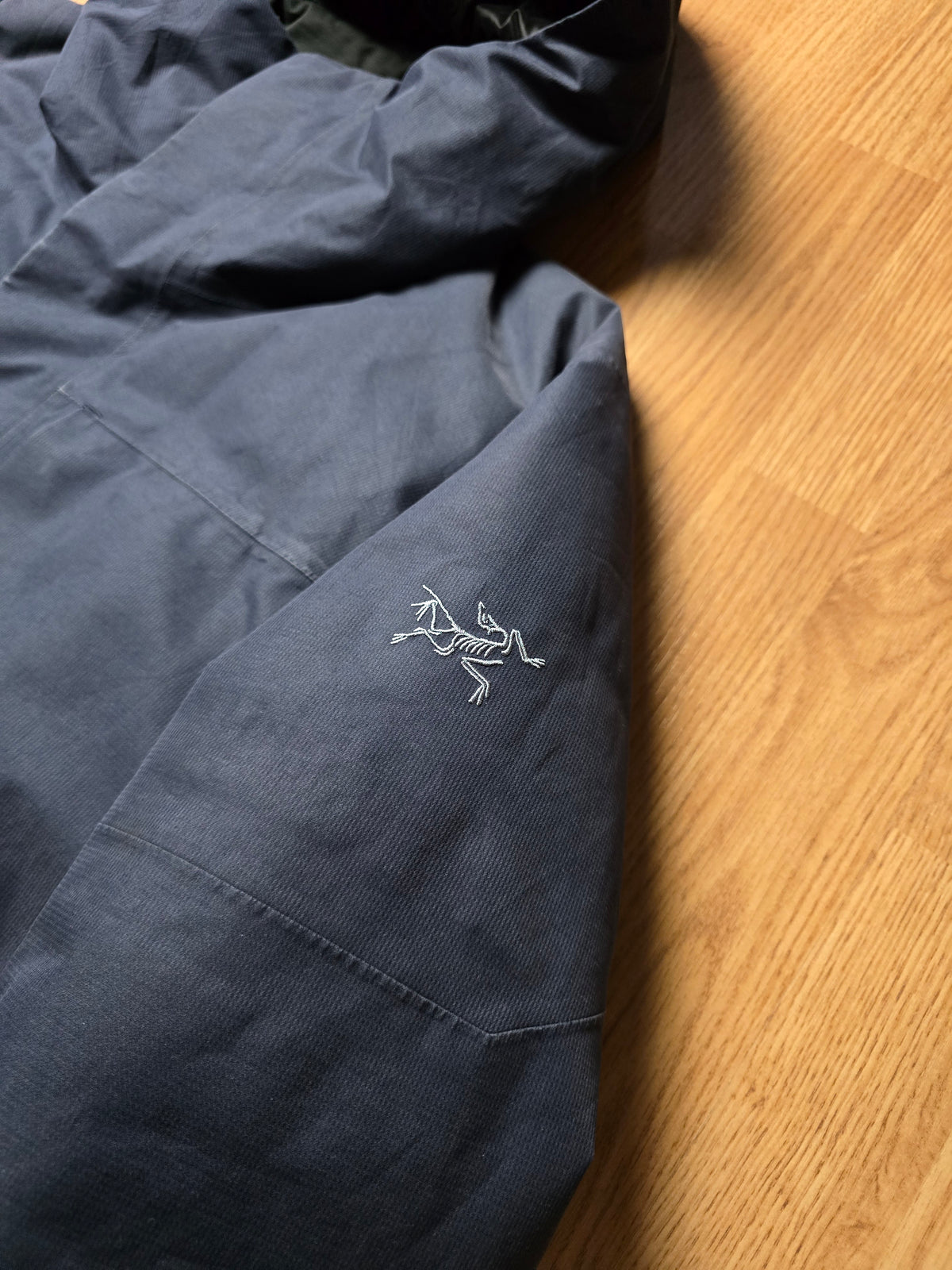 Arc'teryx Therme Gore-tex Goose Down Parka Jacket (L)