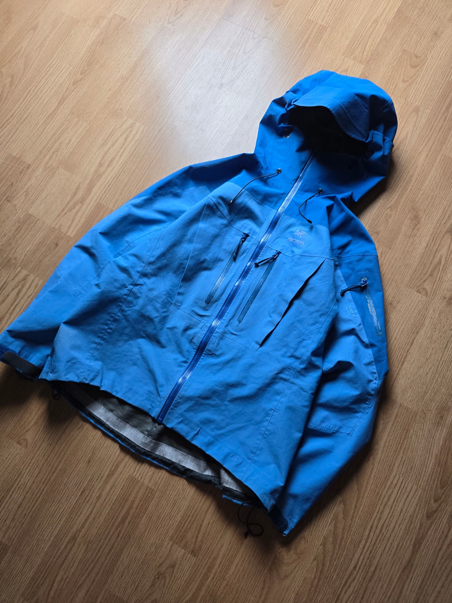 W/ RARE Arc'teryx Vintage Alpha SV Gore-tex Jacket (L)